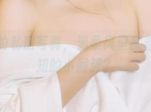 不呆猫的私房写真，温柔风里藏着不为人知的小倔强？