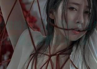 观看奶桃桃的孔雀石，图包里当然不缺少小惊喜，谁都想来一发。