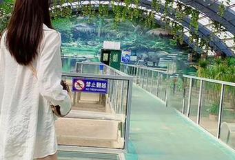 微密圈 – 私房里的空姐：林子喵Lynne原图带来的意外趣味
