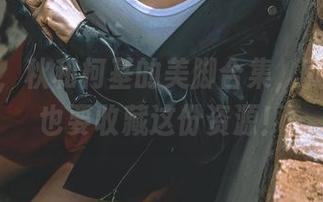 别错过，秋和柯基的美脚合集，就算不看也要收藏这份资源！